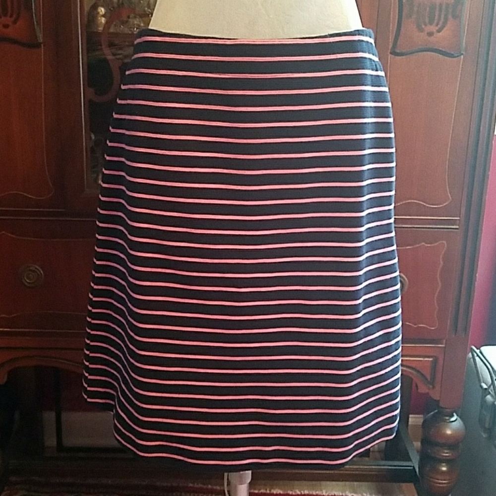 Talbots Navy and Pink Striped A-line Skirt 8